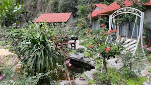 Trang An Peaceful Homestay