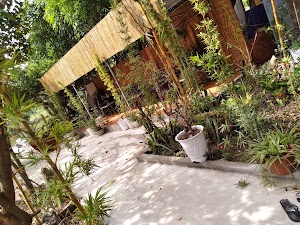 Ali Homestay Ninh Binh
