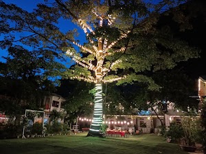 TRANG AN SECRET GARDEN
