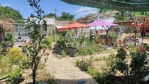Bình An Homestay