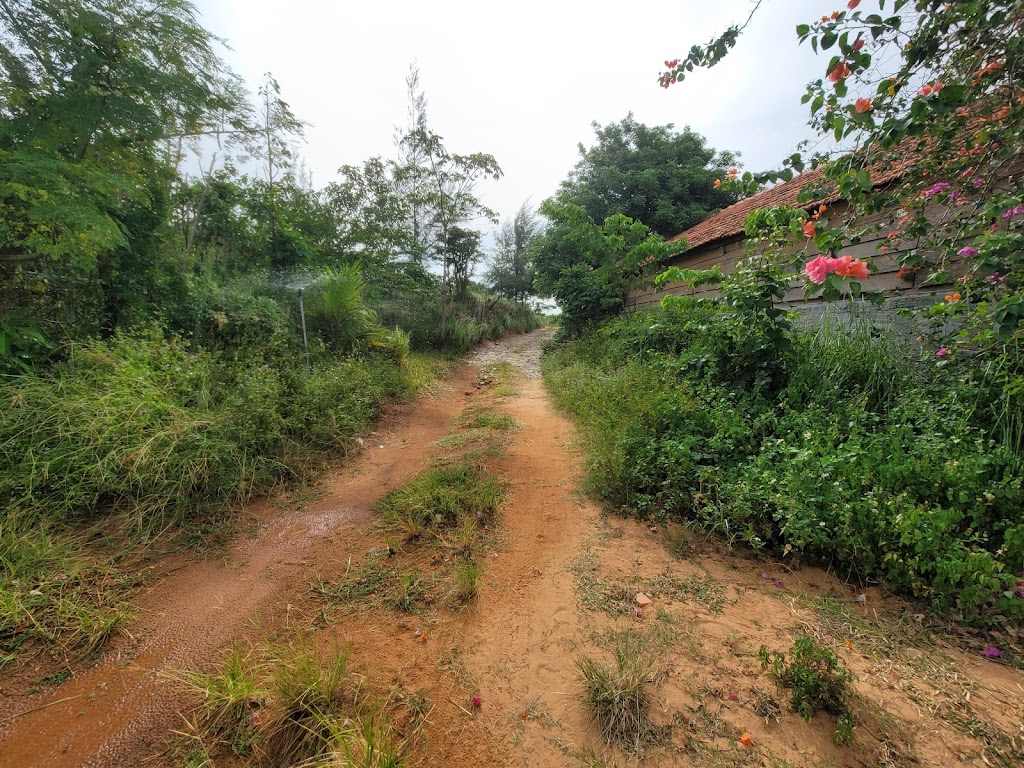 Coffee panorama Mũi Dinh