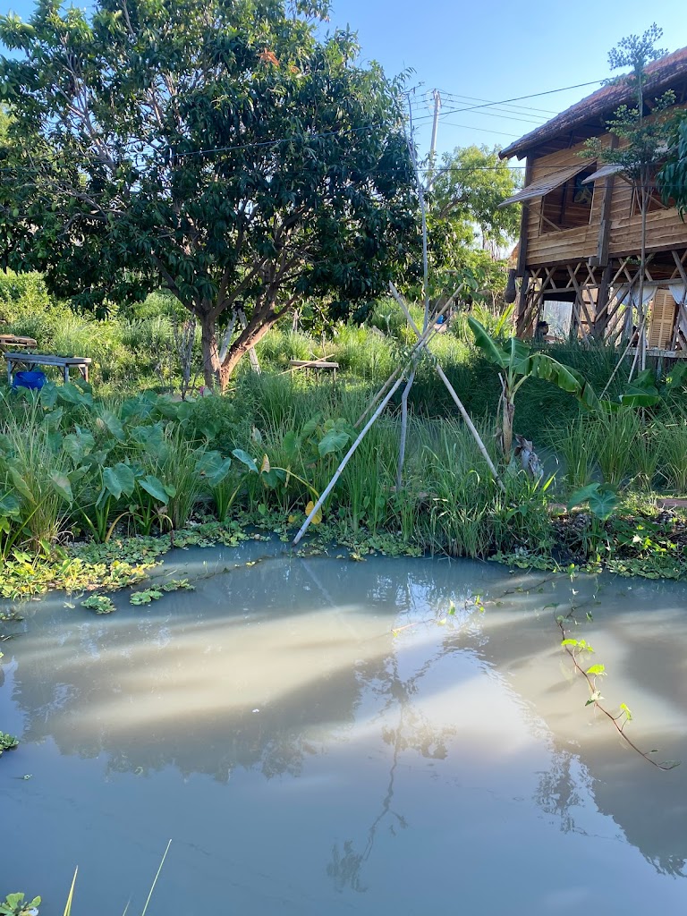 Coffee panorama Mũi Dinh