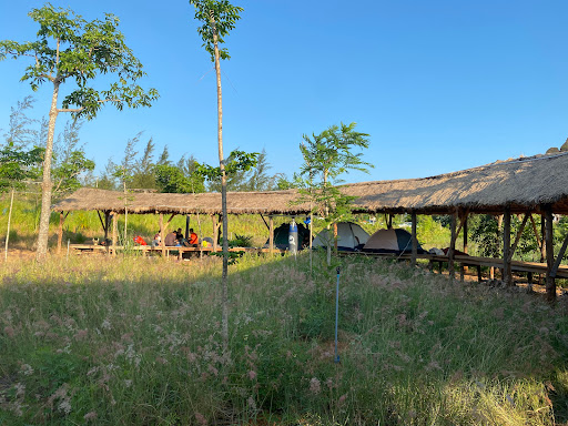 Coffee panorama Mũi Dinh