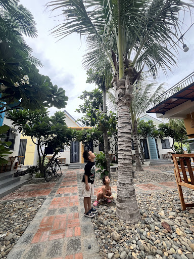 Color Inn – Homestay & Café in Mỹ Hoà, Ninh Thuận