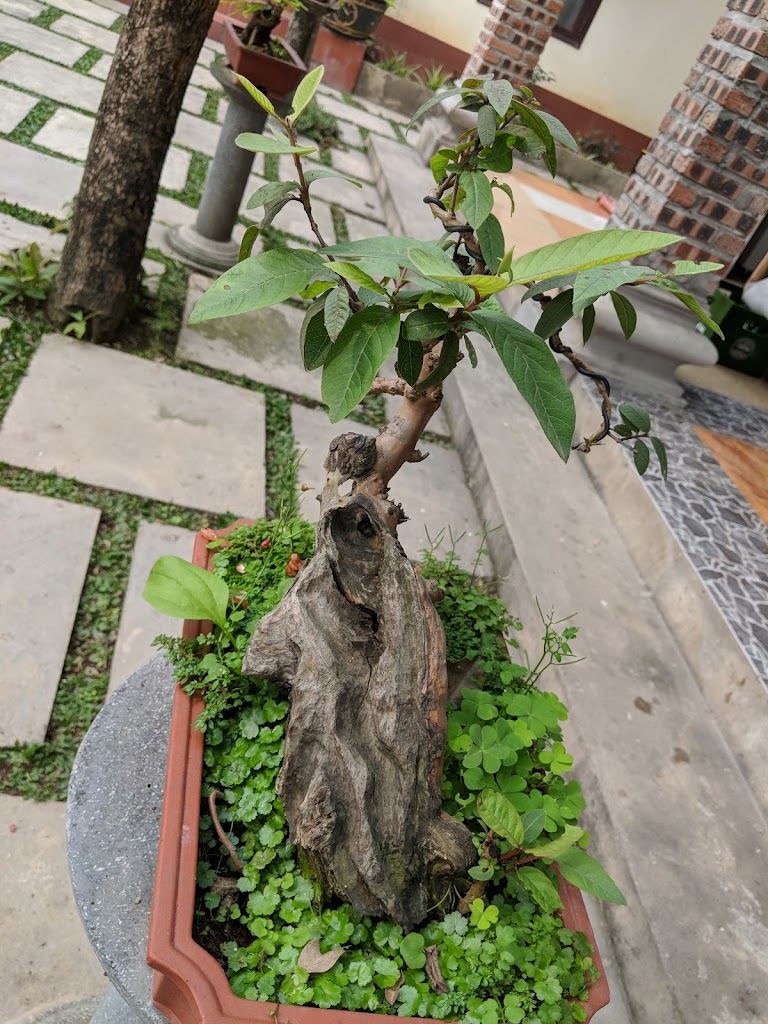Country House Homestay Tam Coc