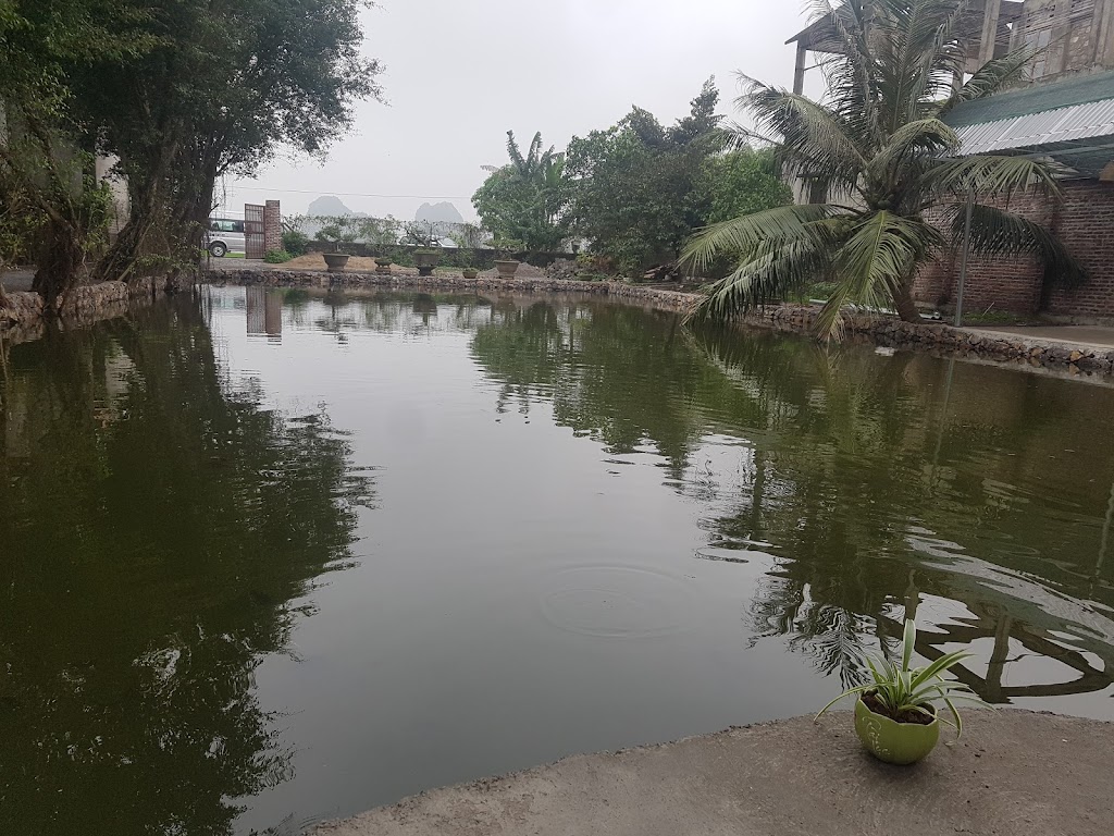 Country House Homestay Tam Coc