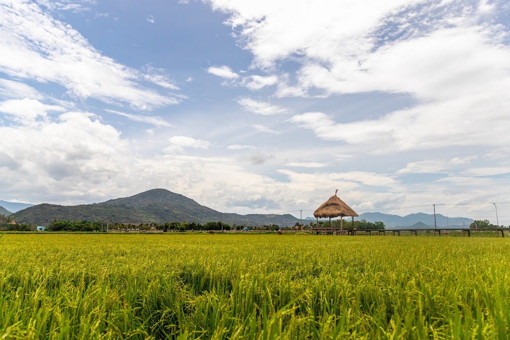 Đồng Cừu Suối Tiên