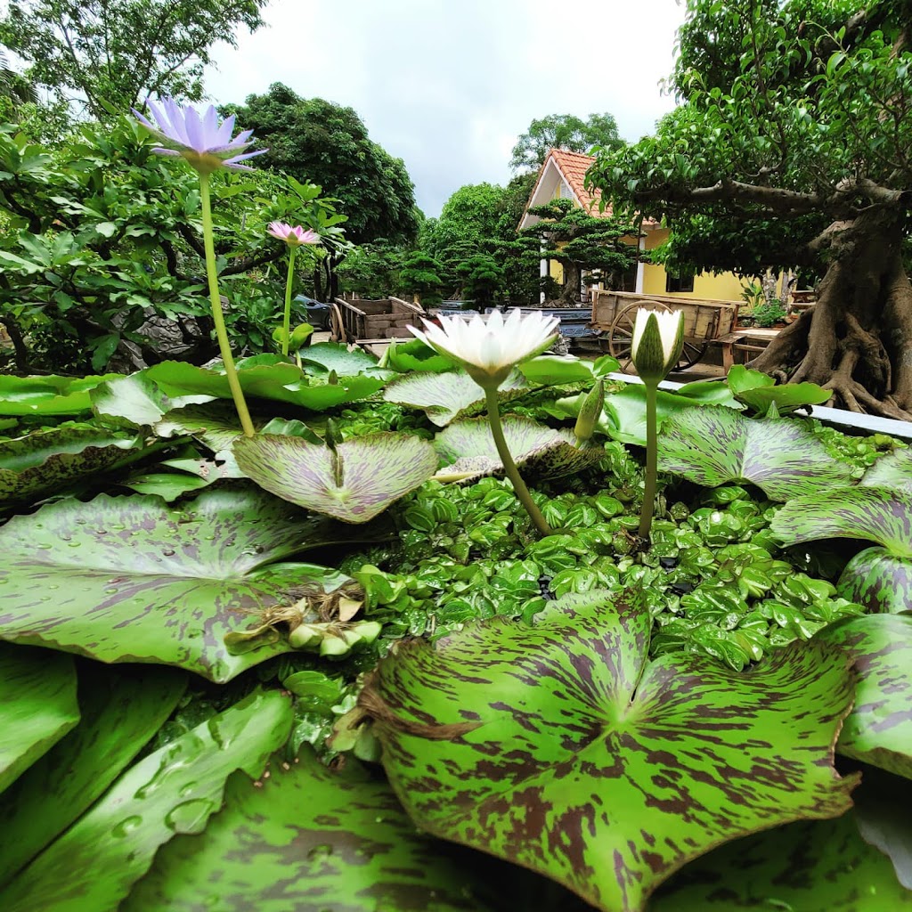 Dong Giao Bungalows