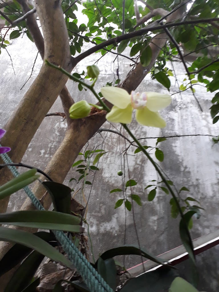 Hà Nhi Hotel