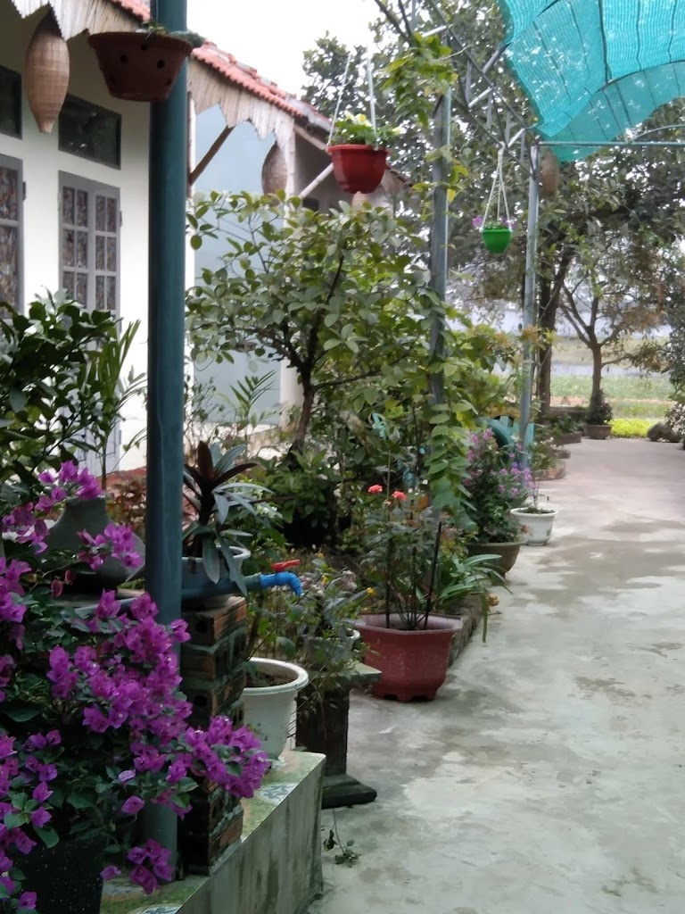 Hang Mua Happiness Homestay