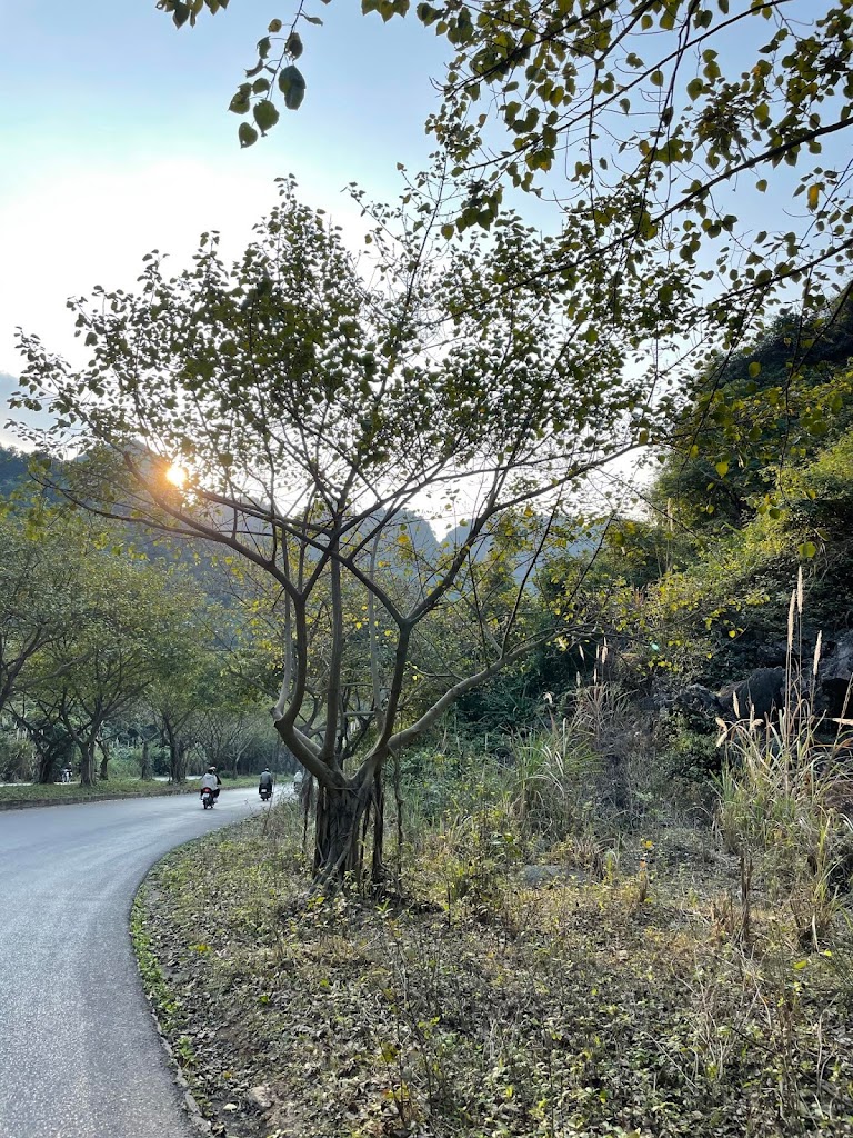 Hoà Hoa Villa – Không Gian Xanh