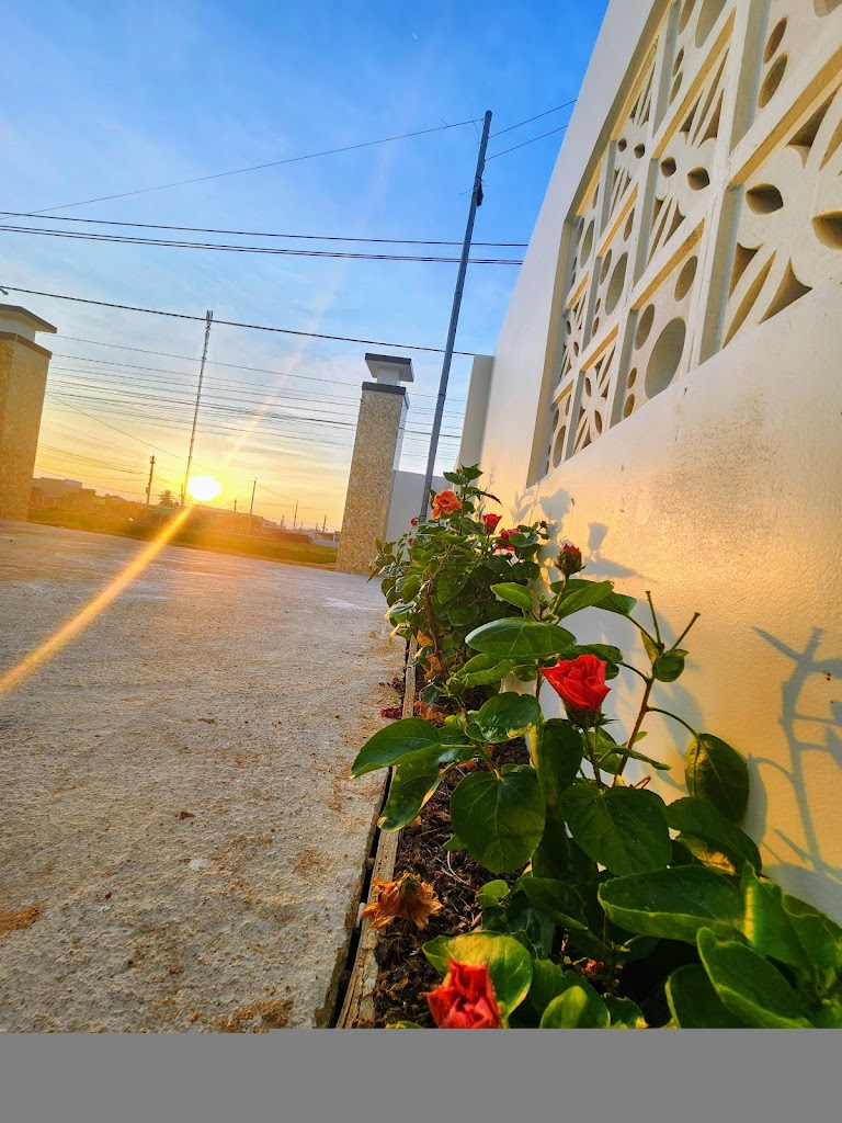 Hoa Nắng homestay