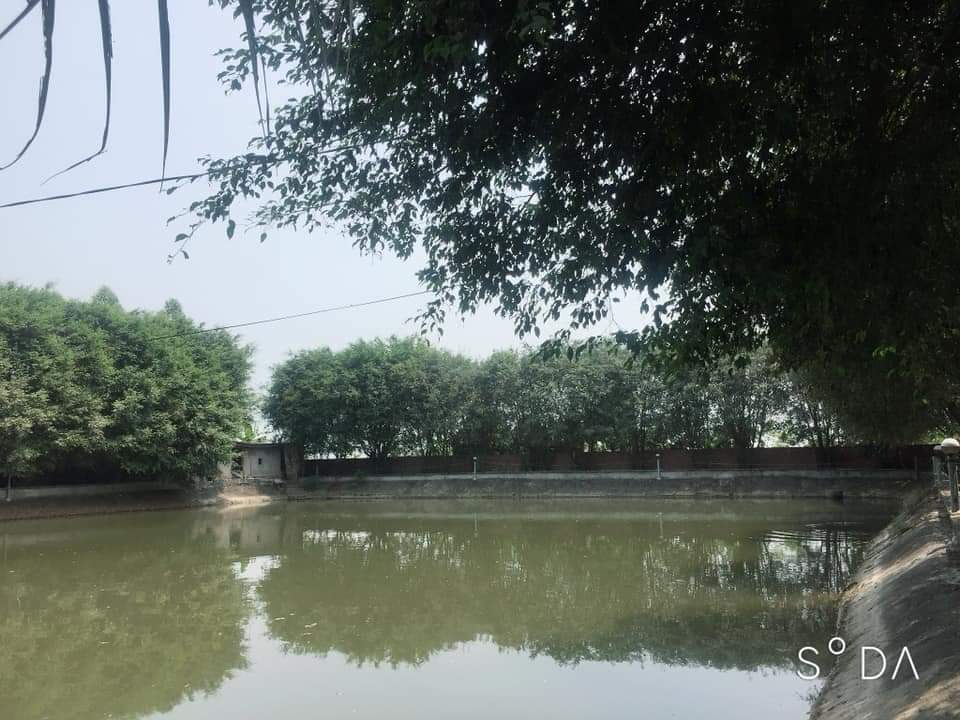 Hoang Lam Homestay