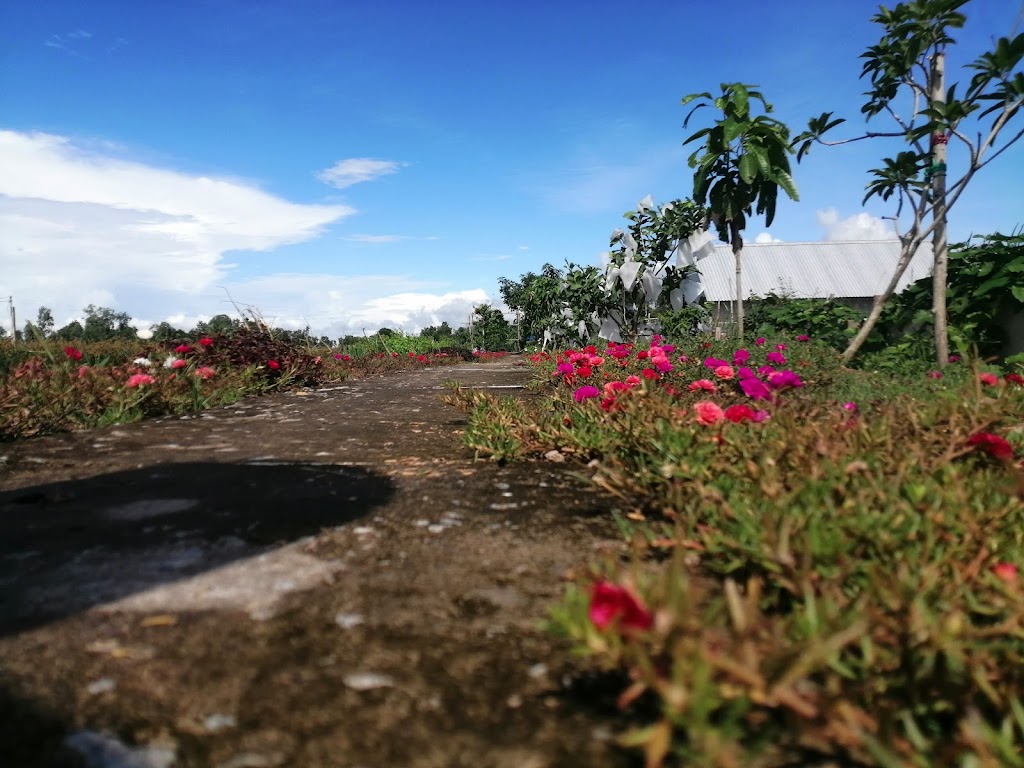 Homestay Huỳnh Tấn Phong