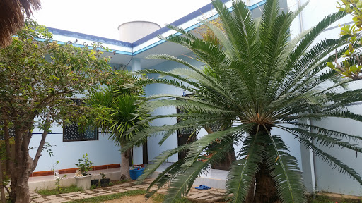 Homestay Mr Hồng