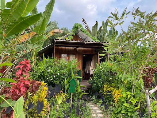 KDL sinh thái – Farmstay: Hoa Rừng U Minh