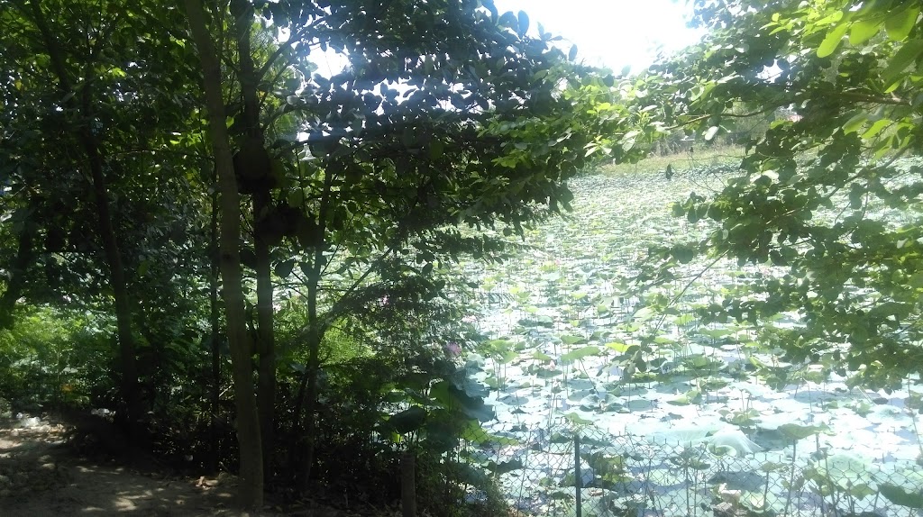 Khách sạn Thiên Phú