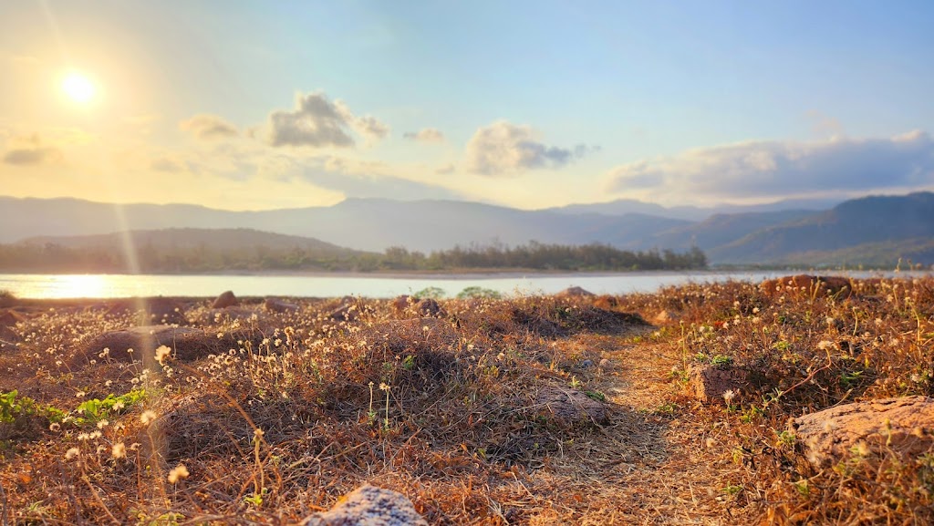 Kite Studio – Mỹ Hòa Lagoon