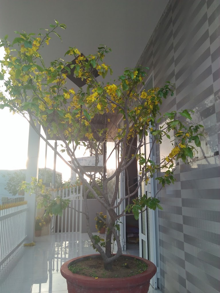Lina Motel