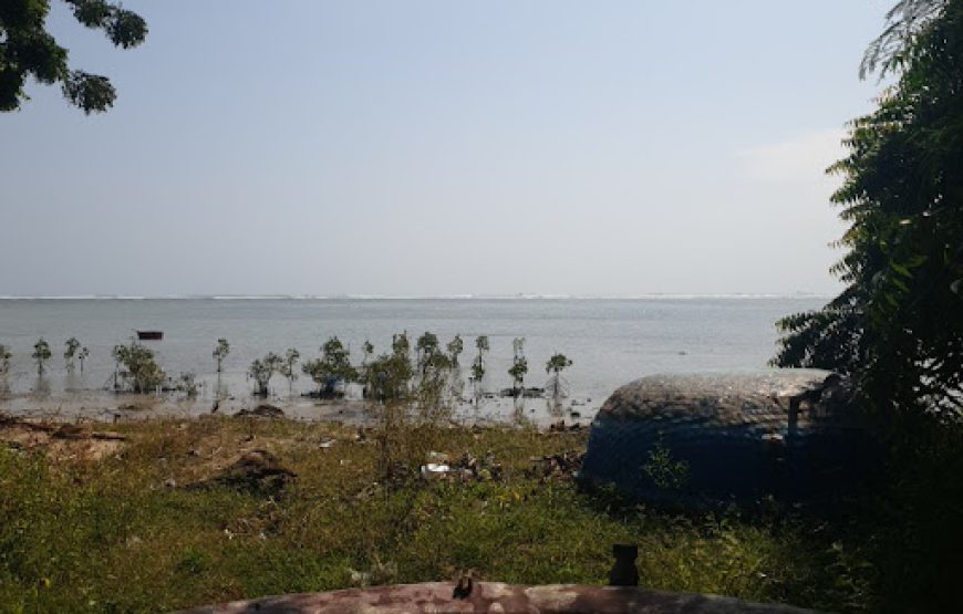 Link homestay