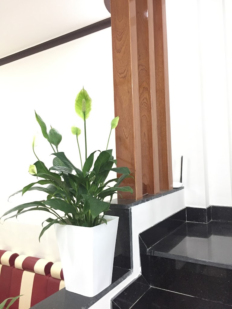 Một Mí Homestay