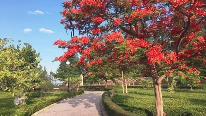 Motel Hương Trâm