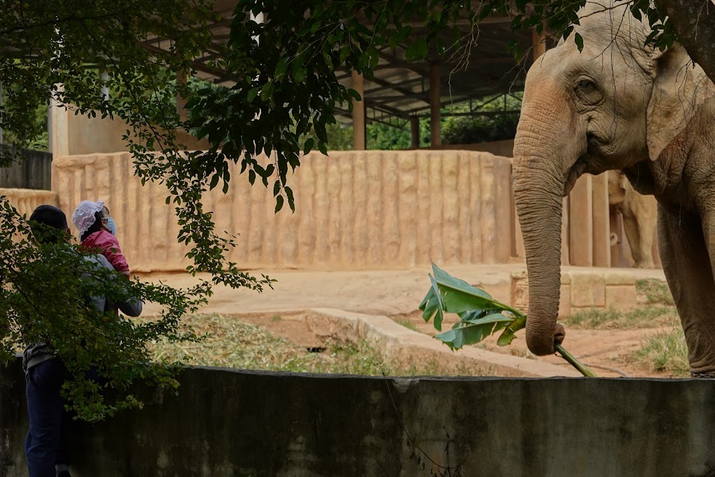Mường Thanh Green Land Diễn Lâm