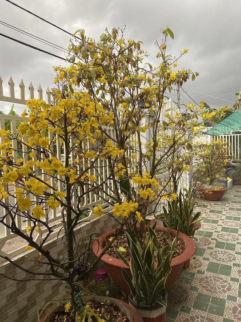 Nhà Trọ 258