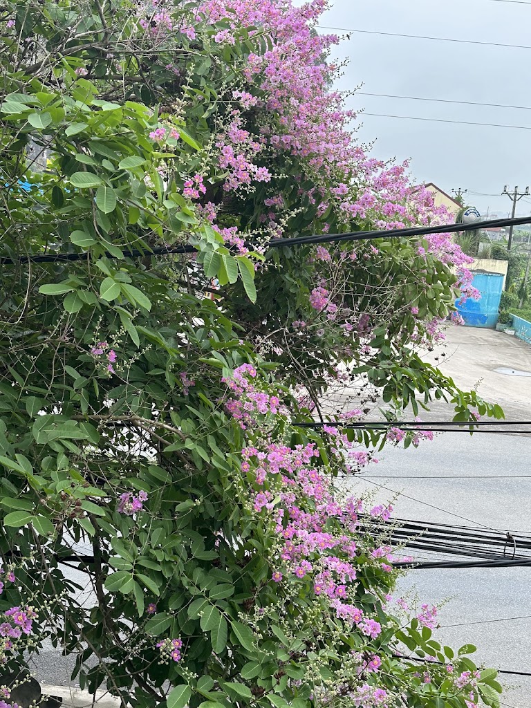 Nhà nghỉ Lan Anh