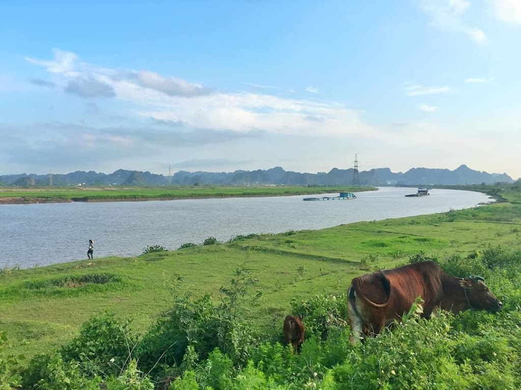 Ninh Bình Bamboo Farmstay