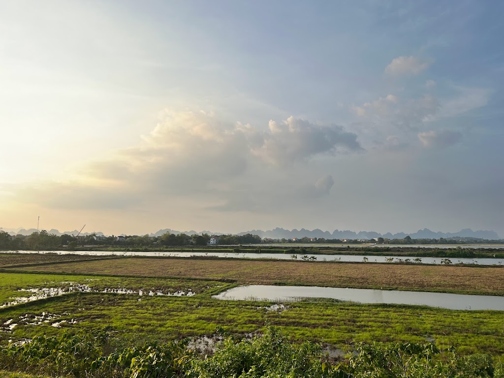 Ninh binh green field homestay