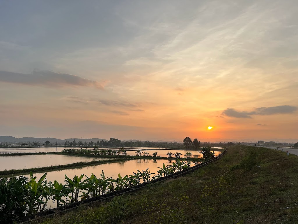 Ninh binh green field homestay