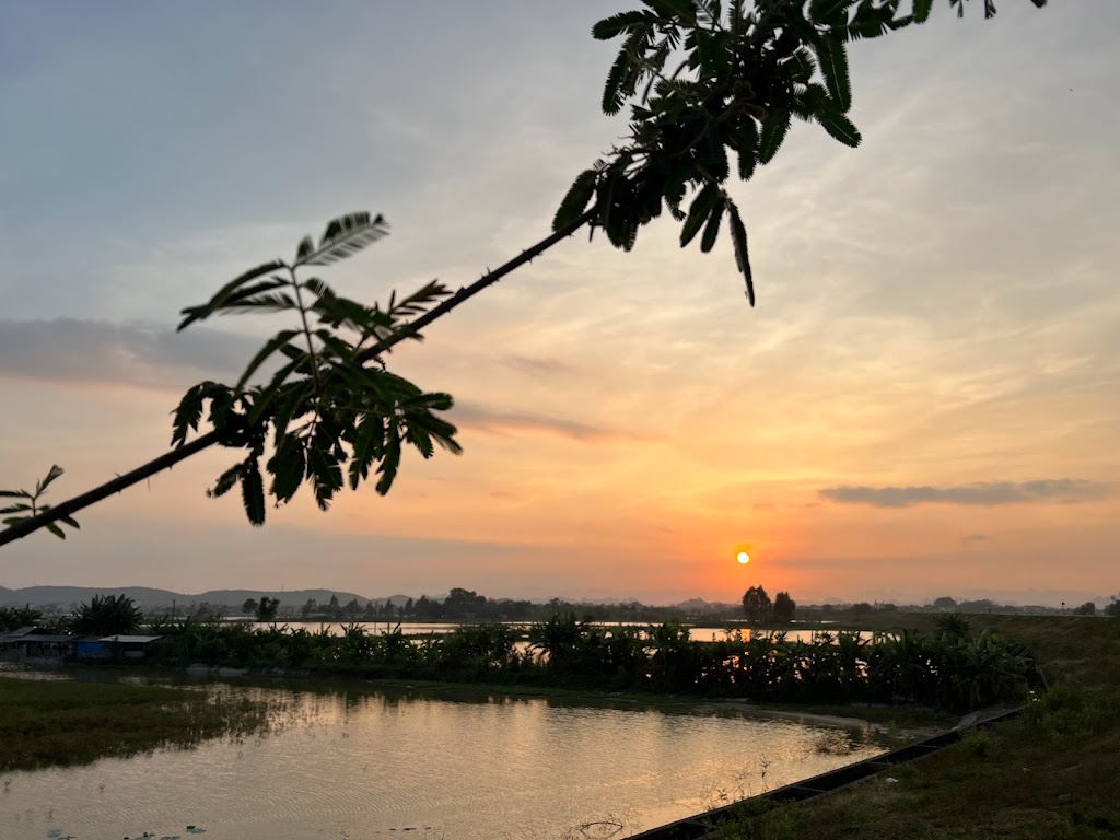 Ninh binh green field homestay