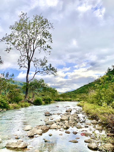 Phuoc Binh An Homestay