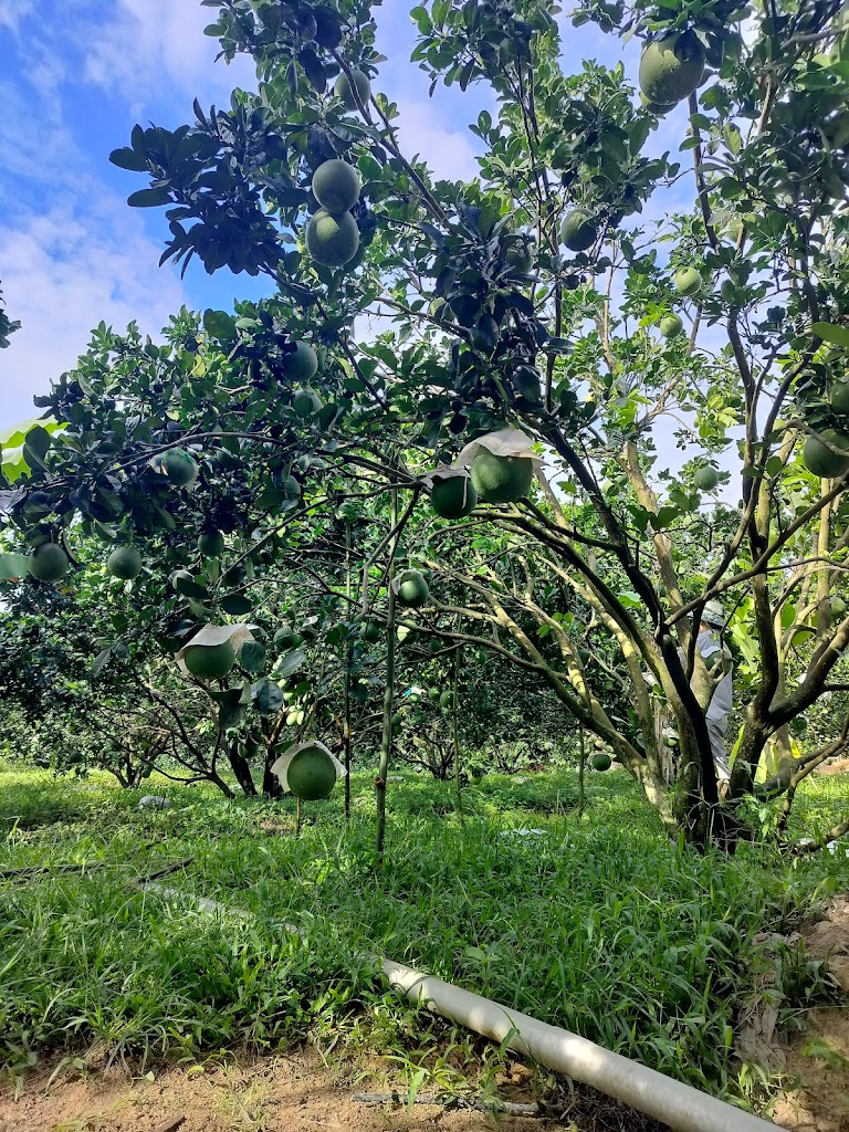 Raglai home