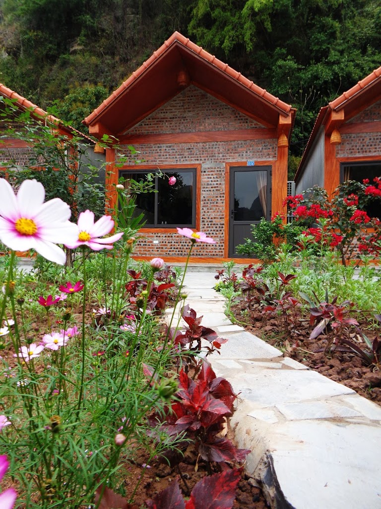 Serena riverside homestay – Tràng An