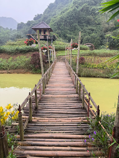 Tam Coc Chu Chu Villa