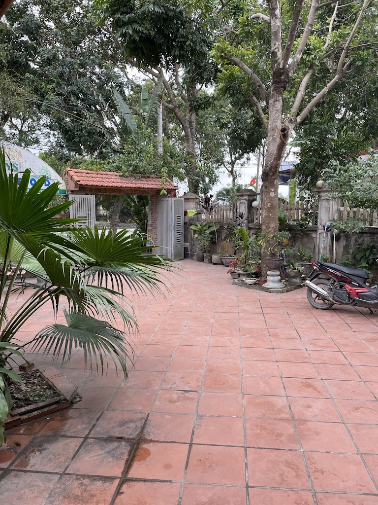 Tam Coc Green Fields homestay