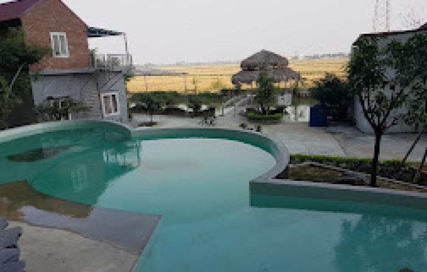 Tam Coc Homestay