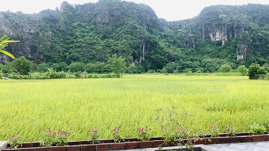 Tam Coc Minh Quan Homestay