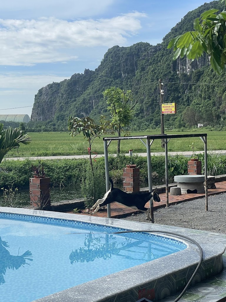 Tam Coc Moutainside Homestay