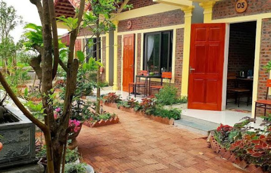 Tam Coc Sunrise Homestay (Vân Viễn, đội 2-Văn Lâm)