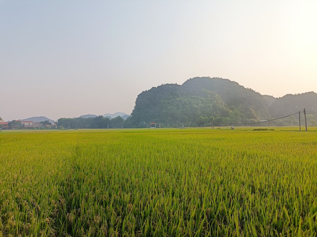 Tam Coc Sunshine Homestay