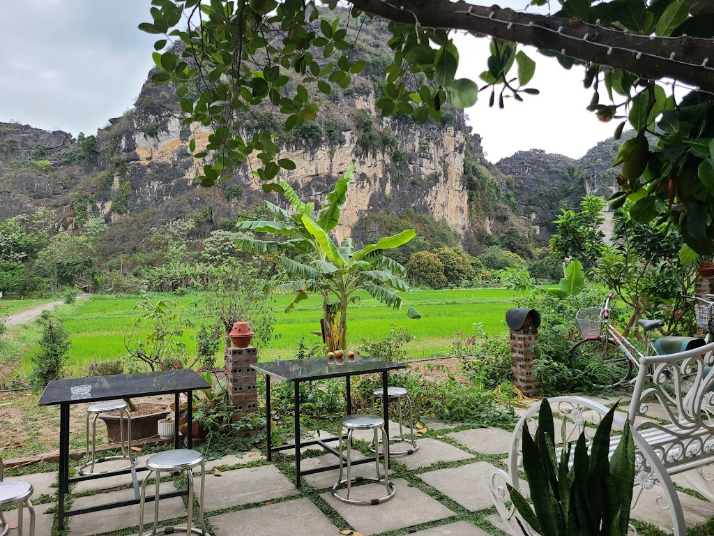 Tam Coc Viet Ha Homestay