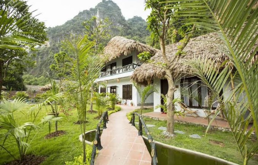 Tam coc Rice Fields Resort