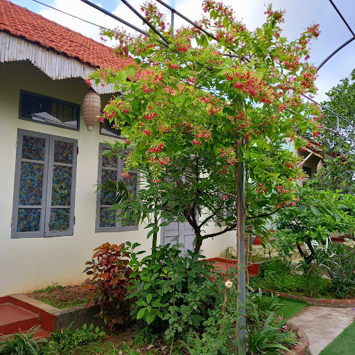 Thảo Nguyên Hotel