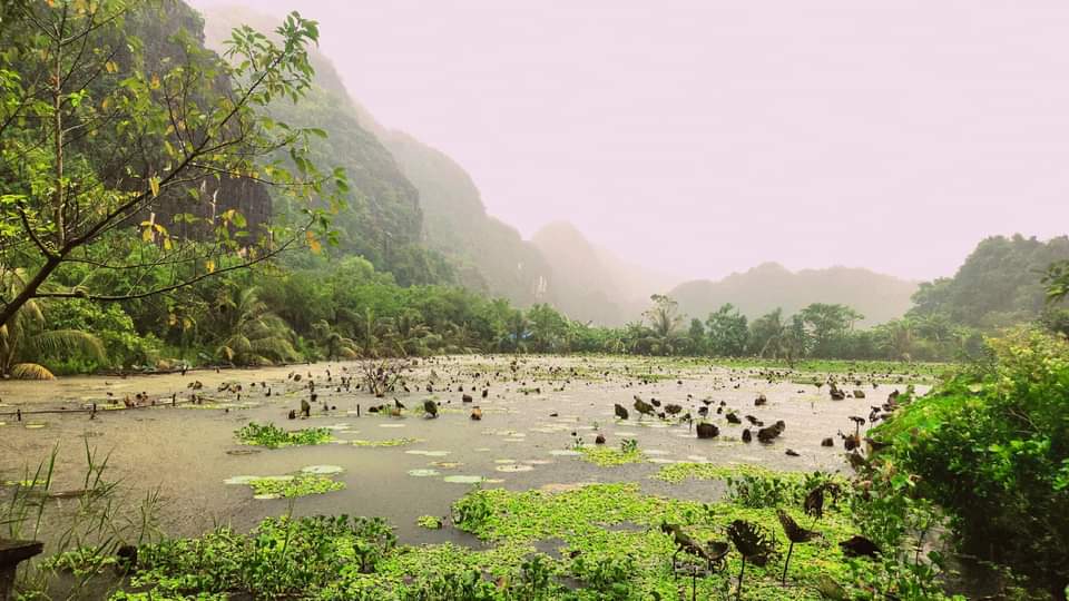 Thung Sen Tam Coc Glamping & Restaurant
