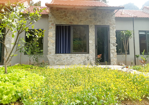Tràng An Dragon Homestay