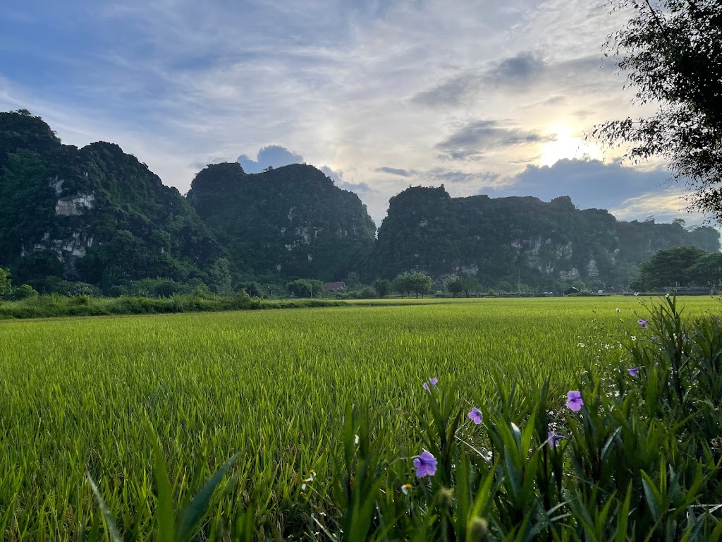 Yen Binh Homestay
